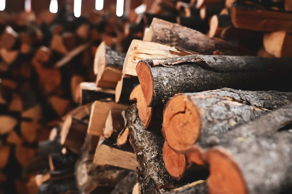 How to Season Firewood Properly for a Cleaner Burn
